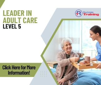 Leader in Adult Care Level 5 Standard Overview Graphic 