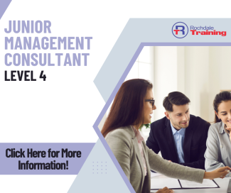 Junior Management Consultant Level 4 Standard Overview Graphic 